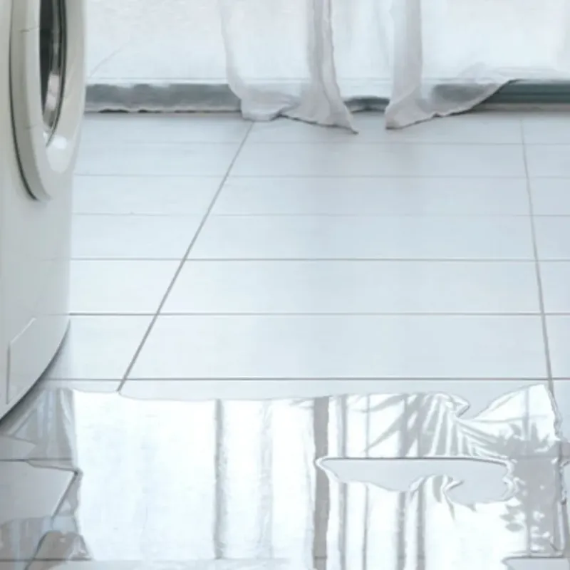 Appliance Leak Cleanup in Plattsburgh, NY