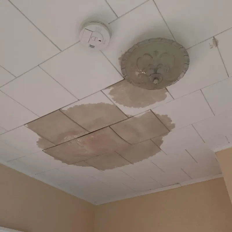Ceiling Water Damage Repair in Plattsburgh, NY