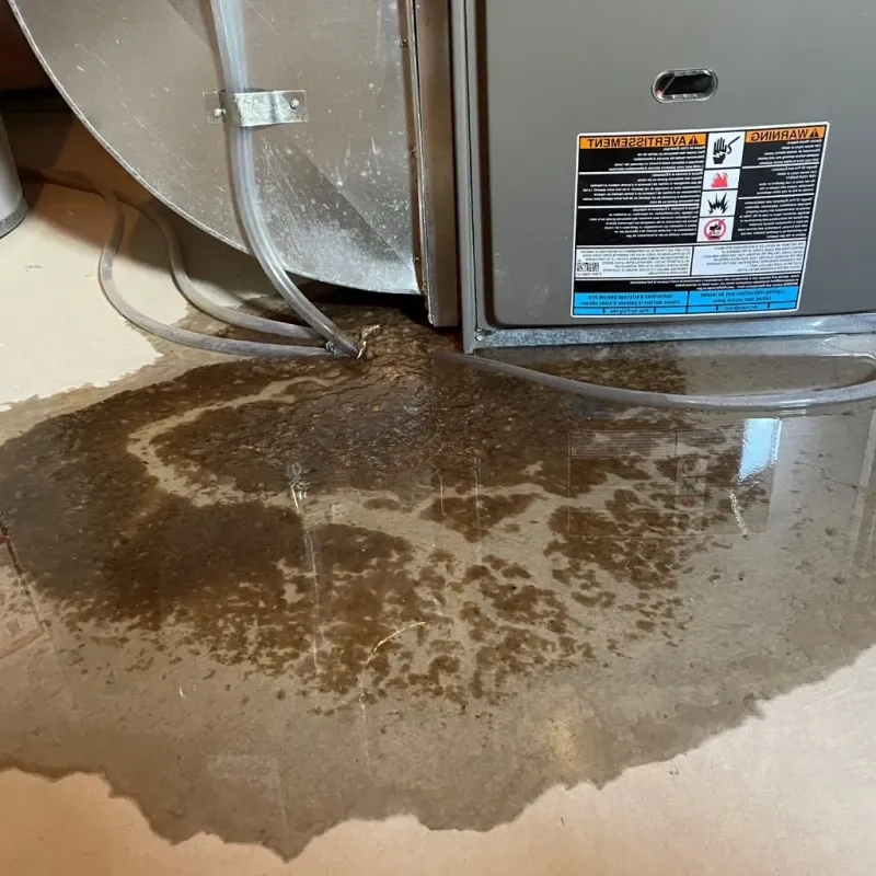 Pipe Burst and Leak Restoration in Plattsburgh, NY